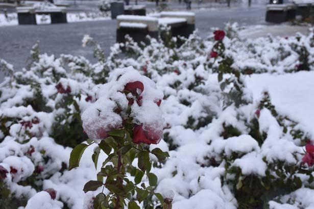 Fotoğraflar bugün çekildi Birçok kent bembeyaz: Kar kalınlığı 40 santimetreye ulaştı