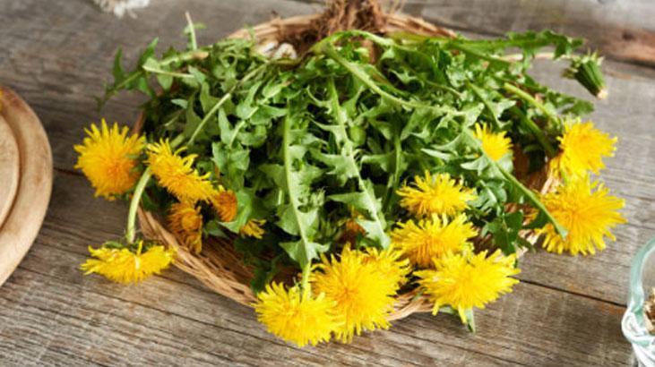 Avrupa’da zeka ilacı, Türkiyede var ama bilen yok Yol kenarındaki mucize