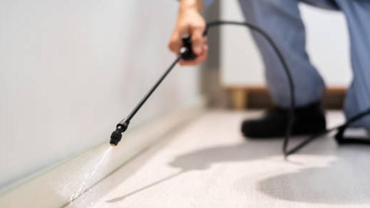 YENİ DETAYLAR ORTAYA ÇIKTI