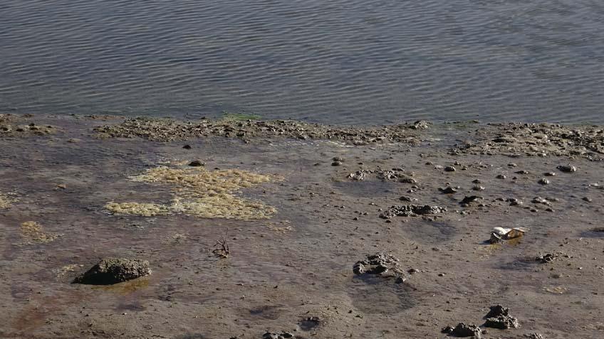 ‘ZOR DURUMDAYIZ’