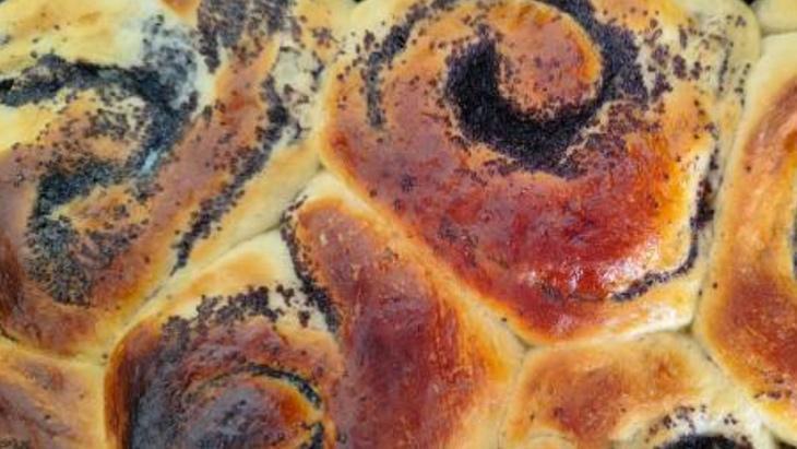 HAŞHAŞLI ÇÖREK NASIL YAPILIR