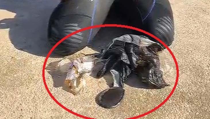 Diyarbakır’da barajın dibinden çıkanlar şoke etti Dalışta büyü malzemeleri buldular