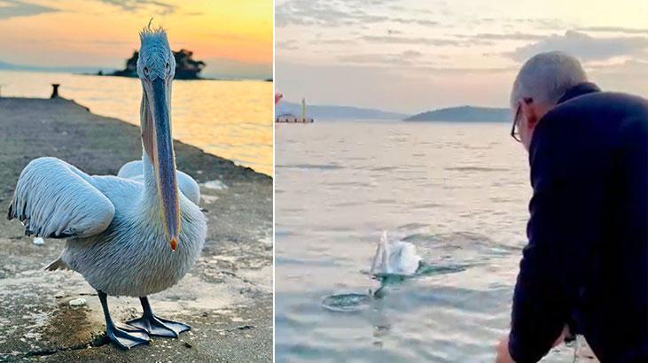 GEL KOCA GAGALI DEYİP BALIK VERDİ