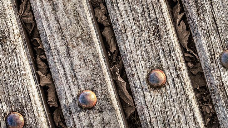 Ahşabın içine sızıp yok ediyor Karbonatlı macun tek çözüm, herkesin evinde var