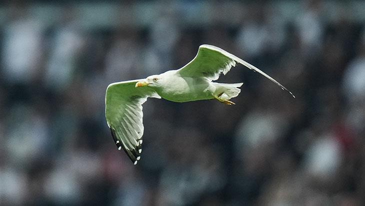 KAMERALARA YAKALANDI