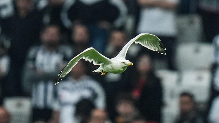 SÜLEYMAN SEBA HATIRLANDI