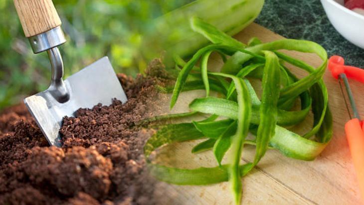 Hem gübre hem kolonya Çiçekleri büyütüp soğan kokusunu silen salatalık kabuğu