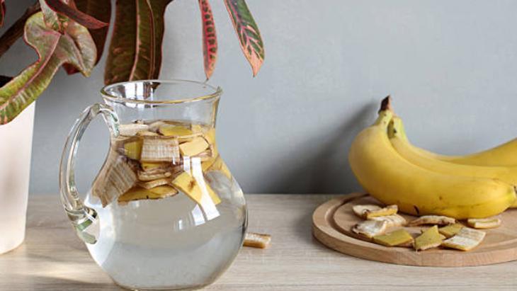 Muz kabuğuyla aloe verayı karıştırın Evdeki çiçekleri coşturuyor: 30 saniyede hazır