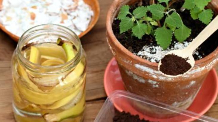 HANGİ BİTKİLER BU KARIŞIMDAN DAHA ÇOK FAYDA GÖRÜR