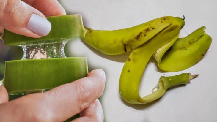 Muz kabuğuyla aloe verayı karıştırın Evdeki çiçekleri coşturuyor: 30 saniyede hazır