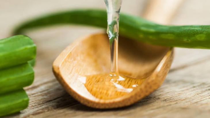 SONUÇ: BASİT MALZEMELERLE ETKİLİ BİTKİ BAKIMI