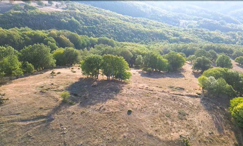 104 yıl sonra gün yüzüne çıktı İnönü Savaşlarının sırlarla dolu siperleri Söğüt’te bulundu