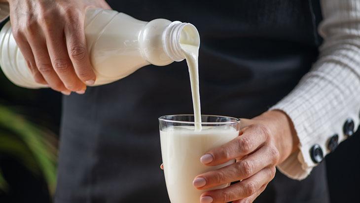 Probiyotik kaynaklarını unutmayın