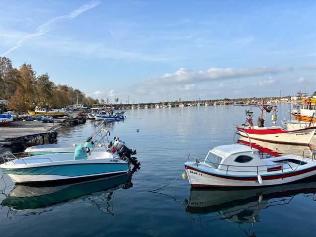 Kentte köpek balığı kabusu ‘Kıyıya kadar gelmiş, 3 metrelik tuttuğum da oldu’