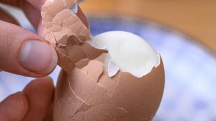 Kızartma, haşlama fark etmiyor... Kayısı kıvamı için süre tutmak şart Yumurtanın püf noktası Kızartma, haşlama fark etmiyor... Kayısı kıvamı için süre tutmak şart Yumurtanın püf noktası