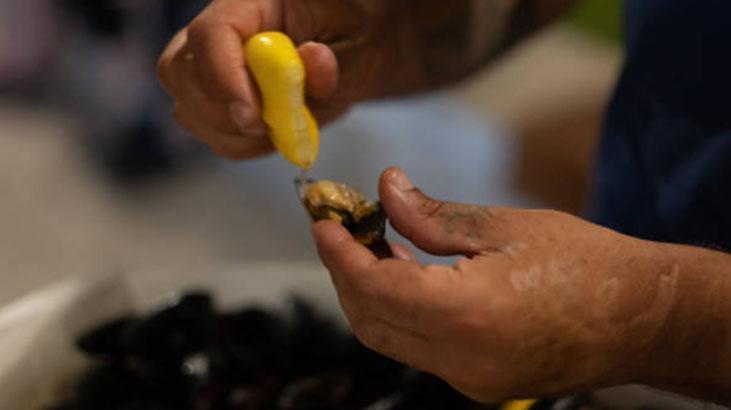 Taze değilse riskli, bozuk midye vücudu mahvediyor Su testiyle sonucu hemen öğrenin