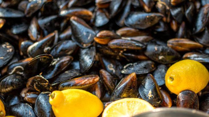 Taze değilse riskli, bozuk midye vücudu mahvediyor Su testiyle sonucu hemen öğrenin