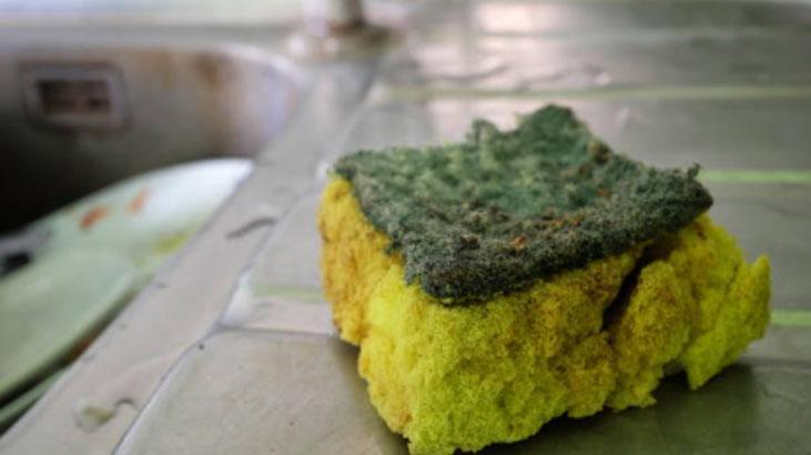 Sünger kokusunu saniyeler içinde yok eden taktik Mis gibi çıkıyor, denemeyen bin pişman Sünger kokusunu saniyeler içinde yok eden taktik Mis gibi çıkıyor, denemeyen bin pişman