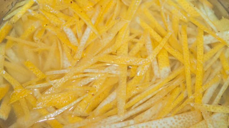 Kedileri bitkilerden uzak tutmanın da doğal yolu