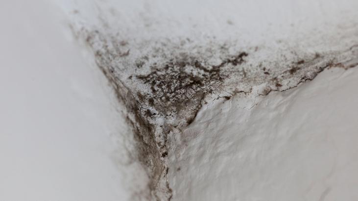 1- Kapıyı açık bırakın