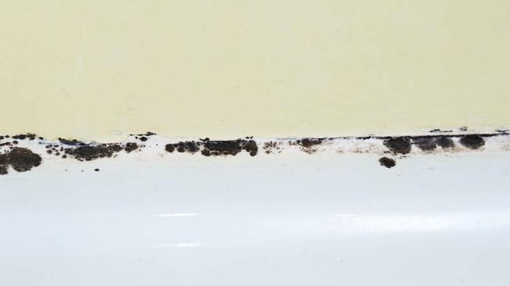 Öbek öbek küf oluşuyor Evin en temiz yeri sanılıyor ama gerçek başka