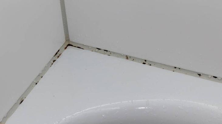 Öbek öbek küf oluşuyor Evin en temiz yeri sanılıyor ama gerçek başka