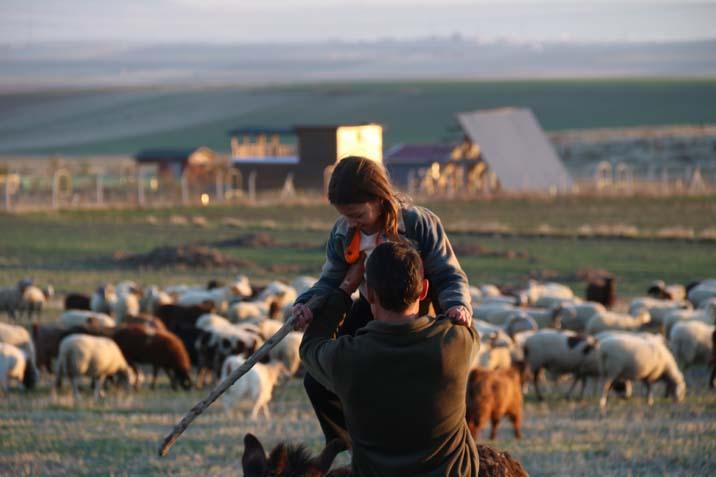 9 yaşında bir çoban İşte küçük Ayşe’nin en büyük hayali: ‘Hayvanları çok seviyorum’