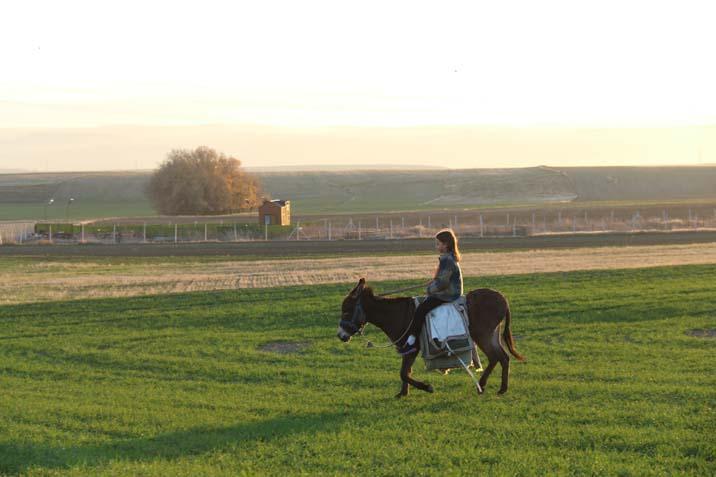 9 yaşında bir çoban İşte küçük Ayşe’nin en büyük hayali: ‘Hayvanları çok seviyorum’