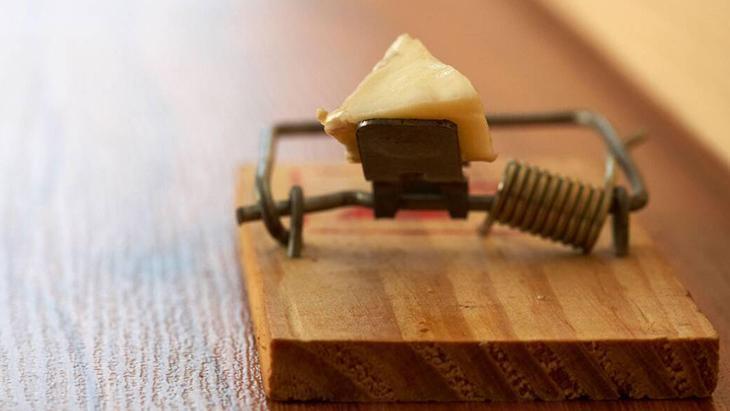 Çatı arasından eve sızıyor Büyükşehirlerde yaşayanların bile baş belası