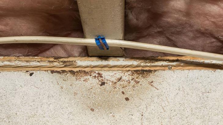 Çatı arasından eve sızıyor Büyükşehirlerde yaşayanların bile baş belası