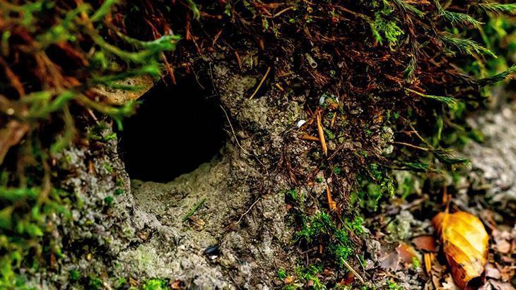 Çatı arasından eve sızıyor Büyükşehirlerde yaşayanların bile baş belası