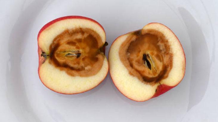 Çürük elmalar tarihe karışıyor, sıcakta ezilmiyor Sandığınızdan daha basit