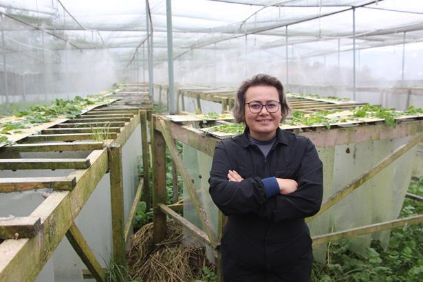 SALYANGOZUN ÖZÜ, KABUĞU VE GÜBRESİ DAHİL HER PARÇASINI DEĞERLENDİRİYORUZ