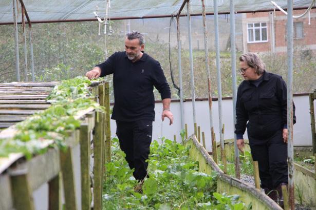 YURTDIŞINA KOZMETİK MADDE OLARAK SALYANGOZ ÖZÜ GÖNDERİYORUZ