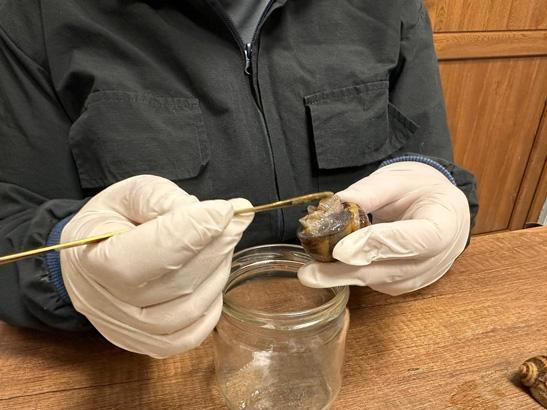 BU HAYVANLARA ÖN YARGILI YAKLAŞIYORUZ