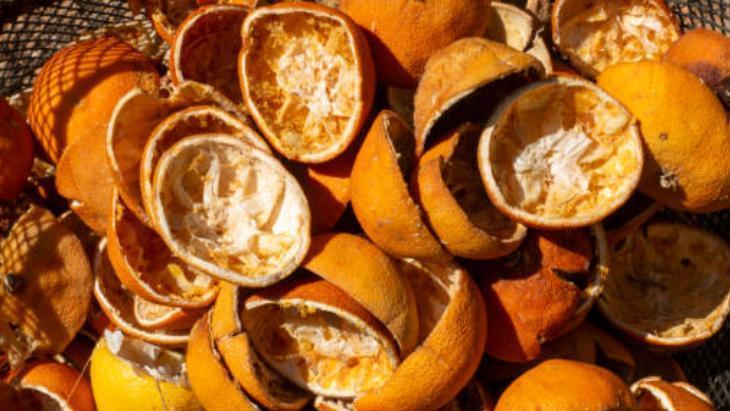 6. KURU LİMON KABUĞU