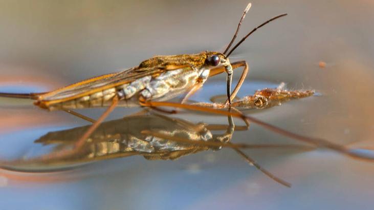 2- Temizlik ve dezenfeksiyon şart