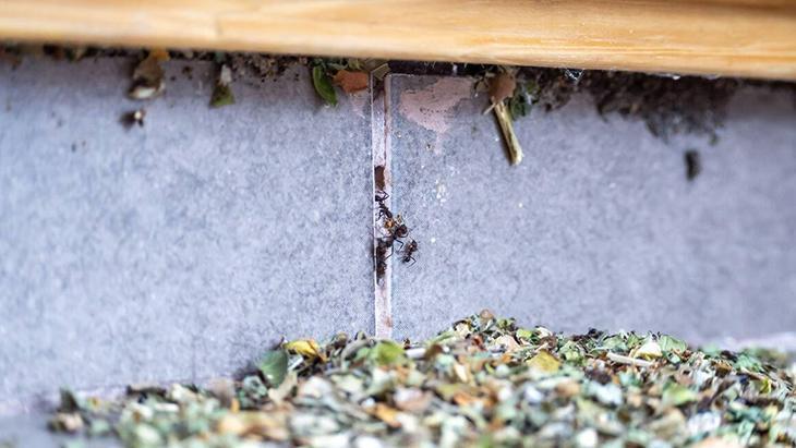 7-  Nem kontrolü ihmal edilmemeli