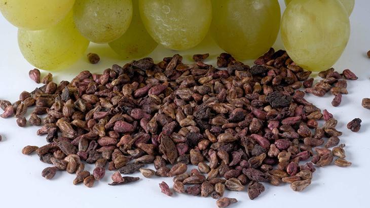 3- Çimlenen fideleri toprağa dikin