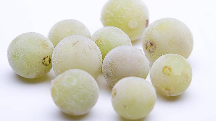 4- Sulama ve bakımda sabırlı olun