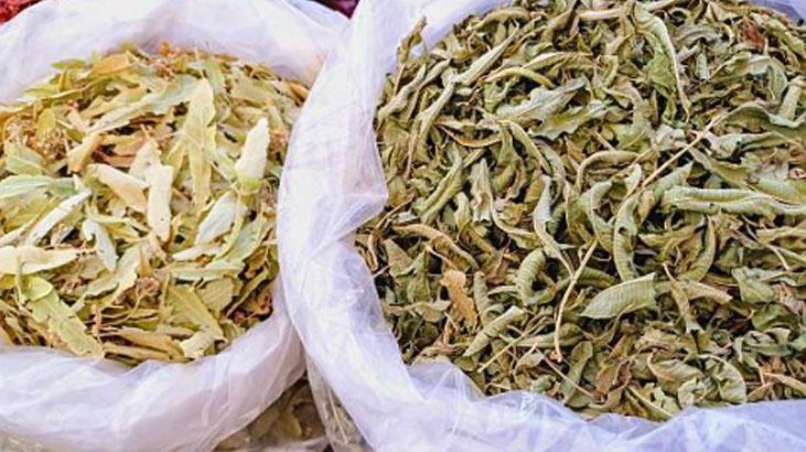 Birkaç defa ısıtılan ıhlamur tehlikeli mi Demleme etkisi bambaşka