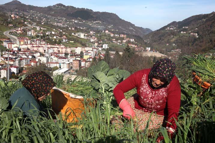 Yaylada inek sağan kadınlar, tribünde VIP ağırlanıyorlar Maç hastası oldular Yaylada inek sağan kadınlar, tribünde VIP ağırlanıyorlar Maç hastası oldular
