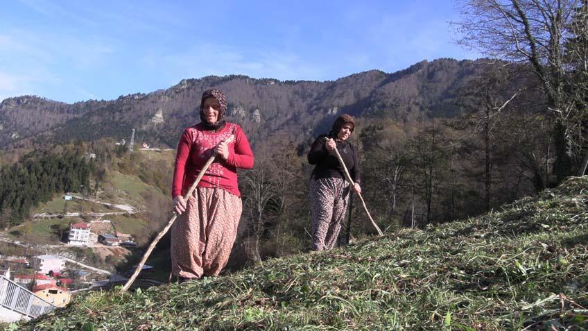 Yaylada inek sağan kadınlar, tribünde VIP ağırlanıyorlar Maç hastası oldular Yaylada inek sağan kadınlar, tribünde VIP ağırlanıyorlar Maç hastası oldular