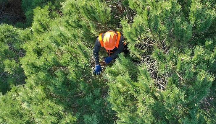OGM PERSONEL ALIMI SONUÇLARI açıklandı mı, ne zaman belli olacak OGM personel alımı başvuruları bitti mi