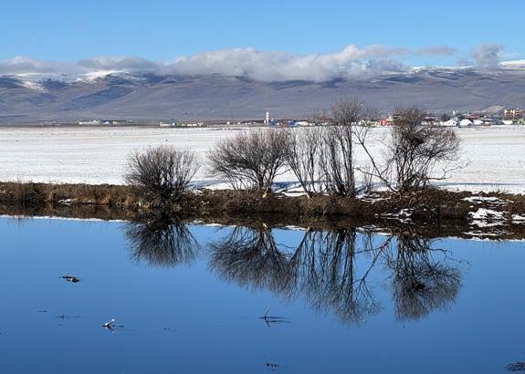 Kent resmen dondu Araçları sararak korumaya çalıştılar