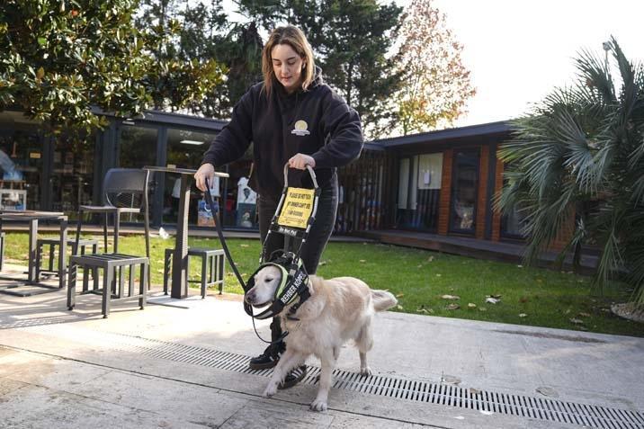 Bir köpeğin 2 yılda ‘Göz’ oluşunun hikâyesi: Türkiye’de sadece 11 rehber köpek görevde