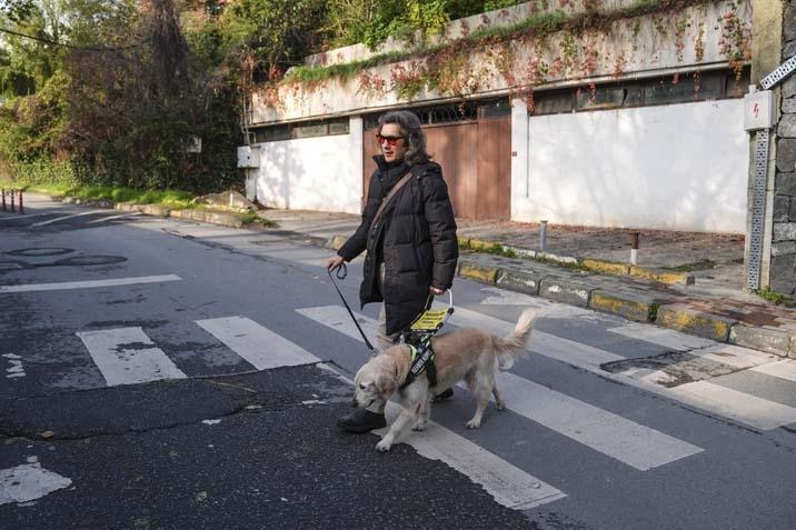 Bir köpeğin 2 yılda ‘Göz’ oluşunun hikâyesi: Türkiye’de sadece 11 rehber köpek görevde