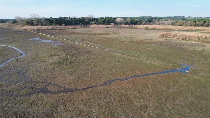 İstanbul’da su krizi Terkos Gölü kuruma noktasına geldi ortaya çıkanlar şoke etti