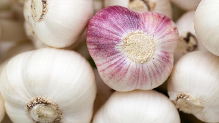 Sarımsak gargarası hepsinden güçlü Mikropları def eden doğal ilaç