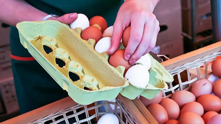 Yumurtanın farkı mikroskopta ortaya çıktı Üzerindeki rakamların anlamı farklıymış